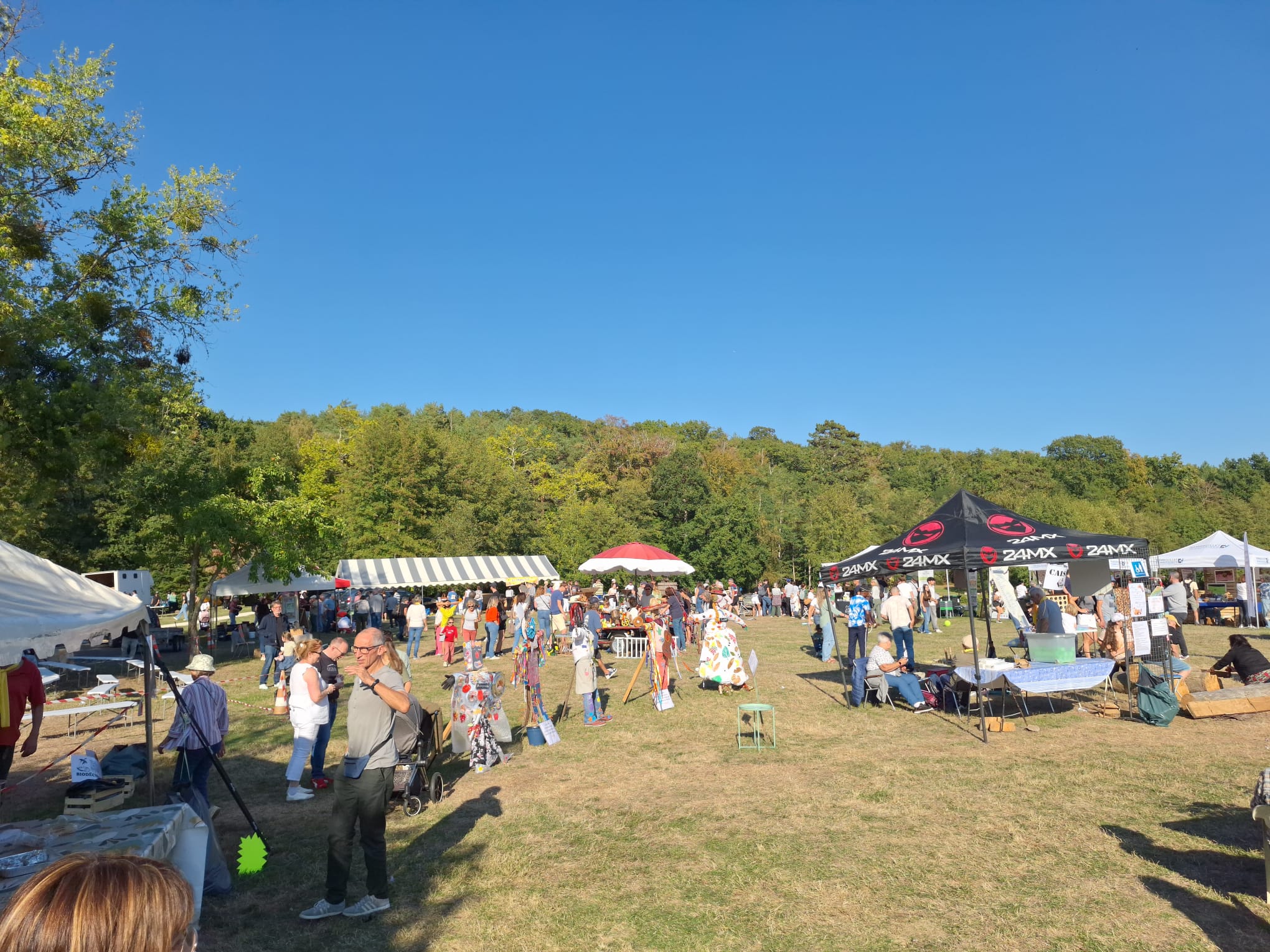 Une fête familiale au milieu des arbres et sous le soleil.